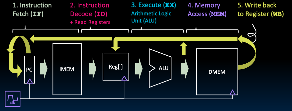 "Single-cycle datapath overview labeled by IF, ID, EX, MEM, and WB showing state elements, ALU and mux paths across one instruction cycle."